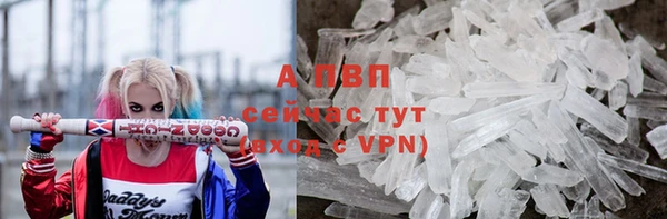 эйфоретик Богданович