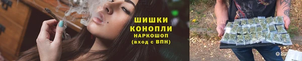 эйфоретик Богданович