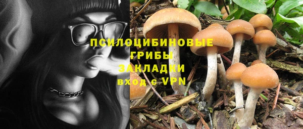 эйфоретик Богданович