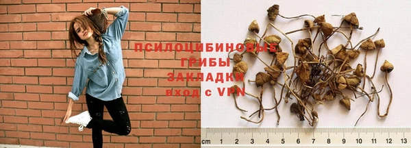 мескалин Богородицк