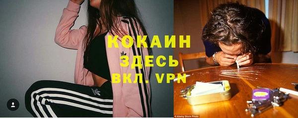 мескалин Богородицк